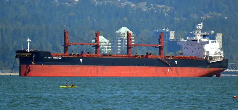 GOLDEN CATHRINE Bulk Carrier IMO 9692674 photo 7