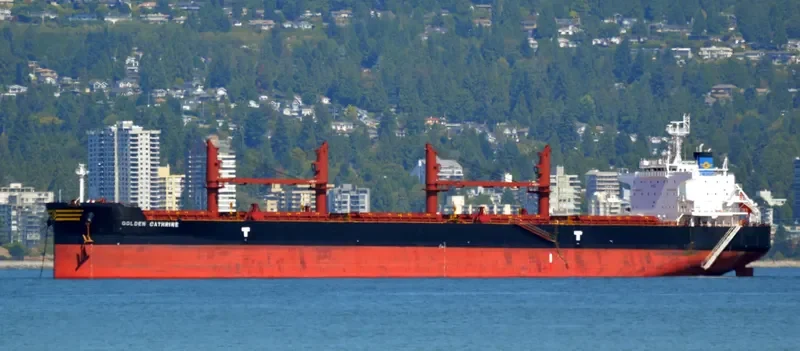 GOLDEN CATHRINE Bulk Carrier IMO 9692674 photo 8