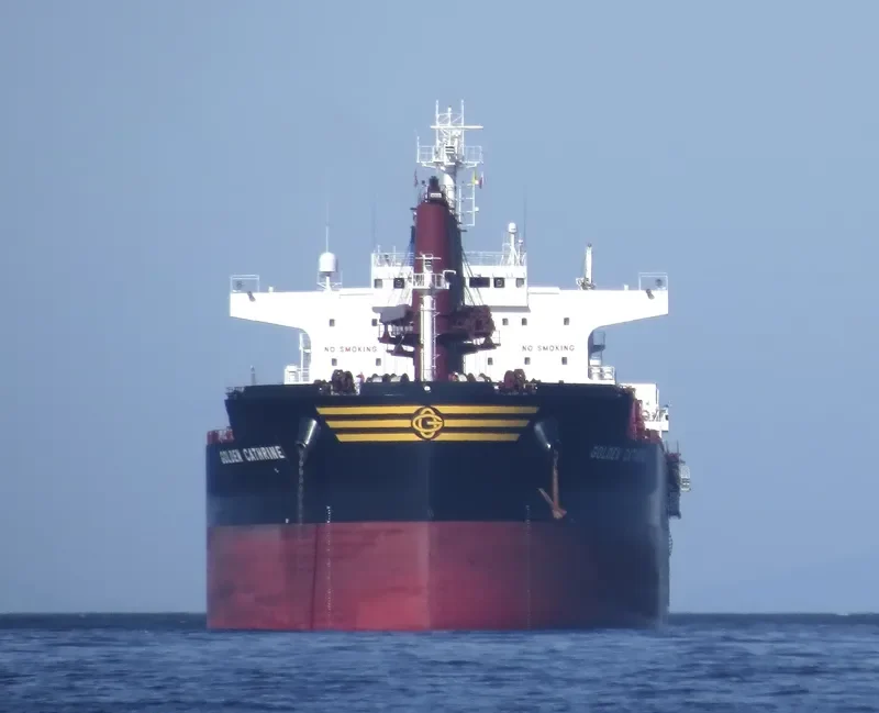 GOLDEN CATHRINE Bulk Carrier IMO 9692674 photo 9