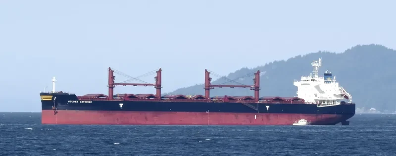 GOLDEN CATHRINE Bulk Carrier IMO 9692674 photo 10