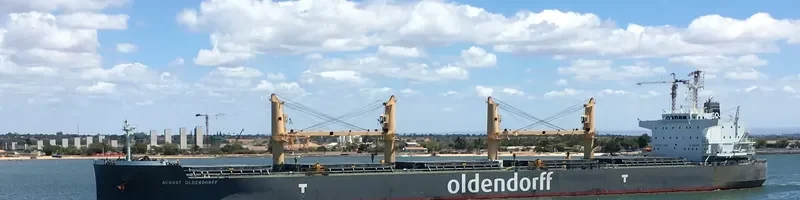 AUGUST OLDENDORFF Bulk Carrier IMO 9692686 photo 5