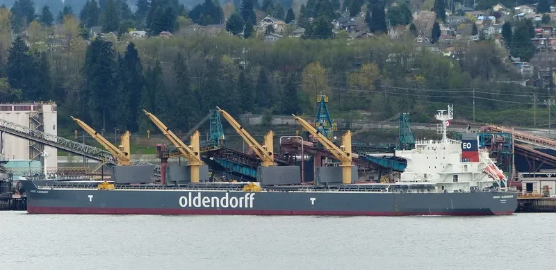 AUGUST OLDENDORFF Bulk Carrier IMO 9692686 photo 8