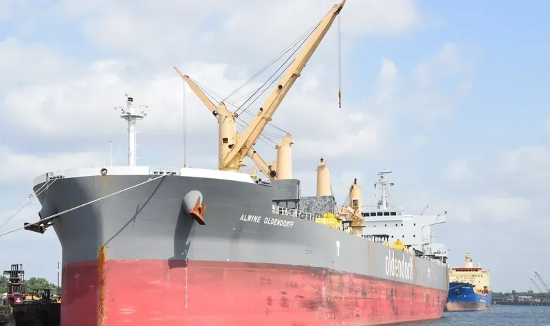 ALWINE OLDENDORFF Bulk Carrier IMO 9692698 photo 3