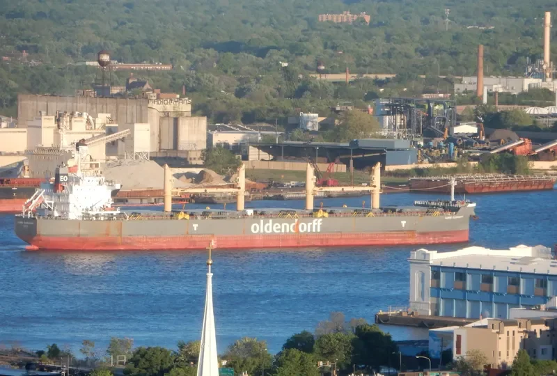 ALWINE OLDENDORFF Bulk Carrier IMO 9692698 photo 4