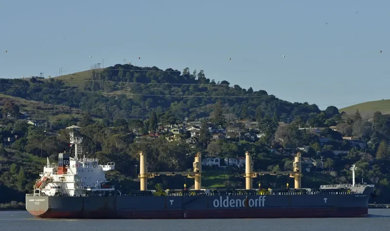 ALWINE OLDENDORFF Bulk Carrier IMO 9692698 photo 6
