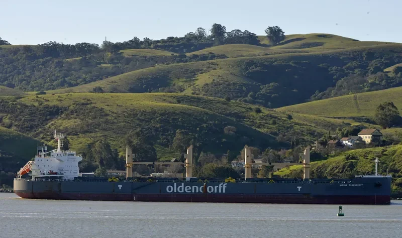 ALWINE OLDENDORFF Bulk Carrier IMO 9692698 photo 7