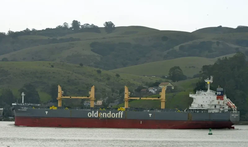 ALWINE OLDENDORFF Bulk Carrier IMO 9692698 photo 8
