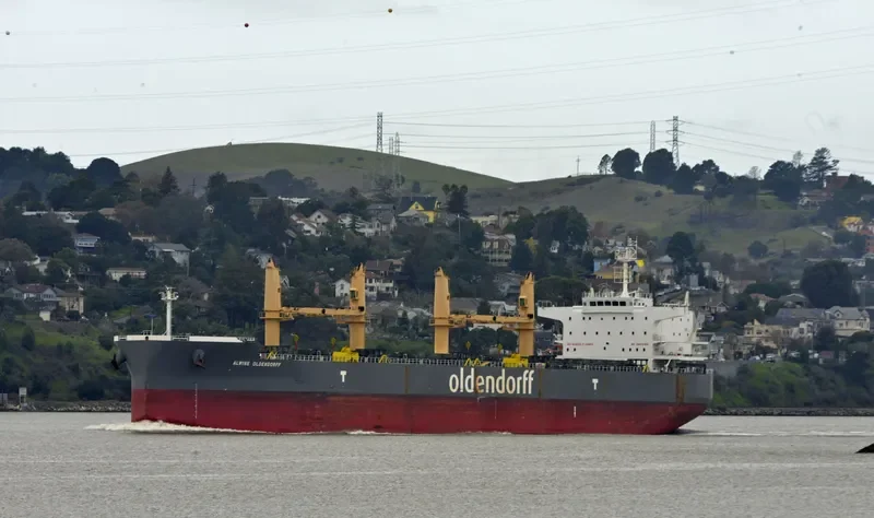 ALWINE OLDENDORFF Bulk Carrier IMO 9692698 photo 9