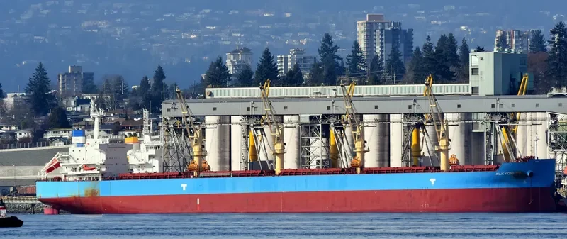 ALKYONI SB Bulk Carrier IMO 9692703 photo 4