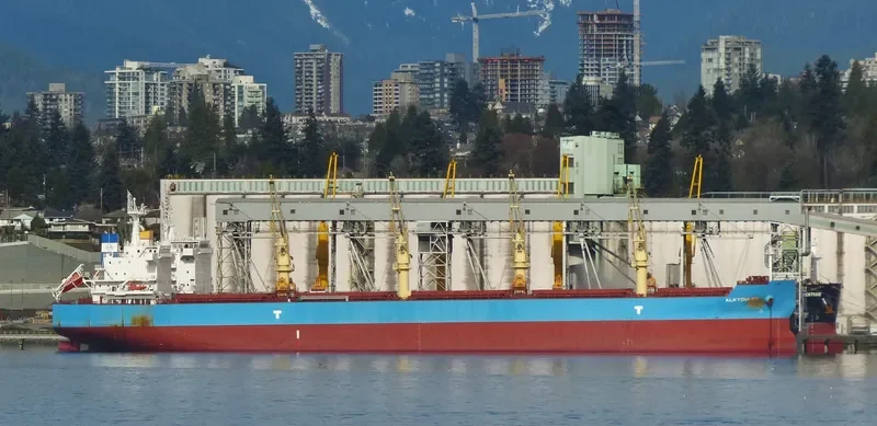 ALKYONI SB Bulk Carrier IMO 9692703 photo 5
