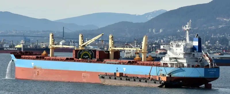 ALKYONI SB Bulk Carrier IMO 9692703 photo 7