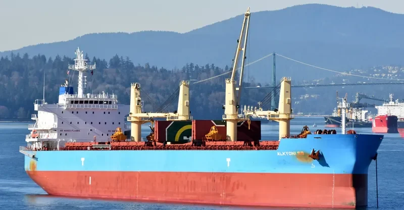 ALKYONI SB Bulk Carrier IMO 9692703 photo 9