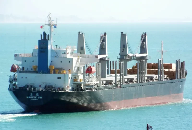 MAGPIE SW Bulk Carrier IMO 9692739