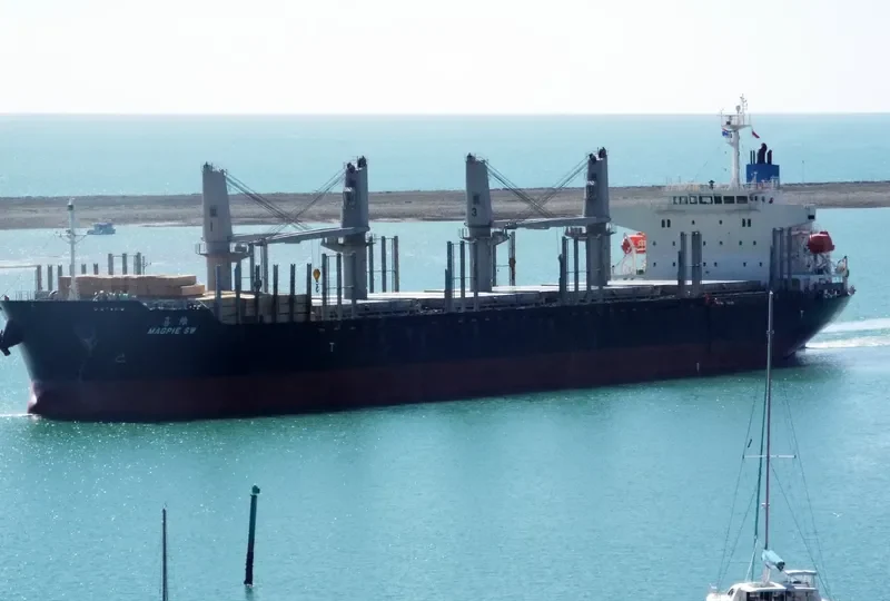 MAGPIE SW Bulk Carrier IMO 9692739 photo 2