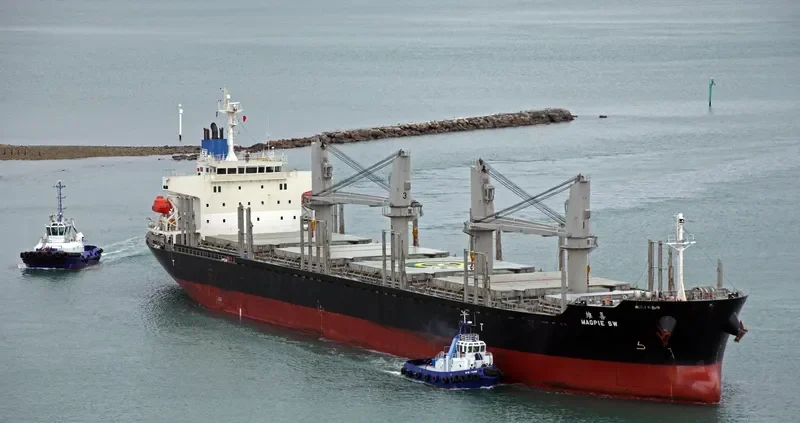 MAGPIE SW Bulk Carrier IMO 9692739 photo 4