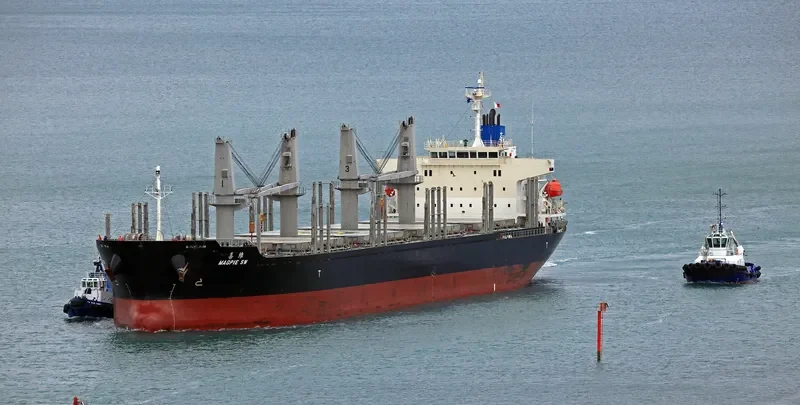 MAGPIE SW Bulk Carrier IMO 9692739 photo 6