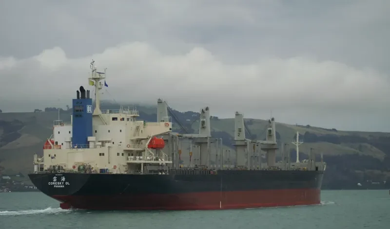 CORESKY OL Bulk Carrier IMO 9692741
