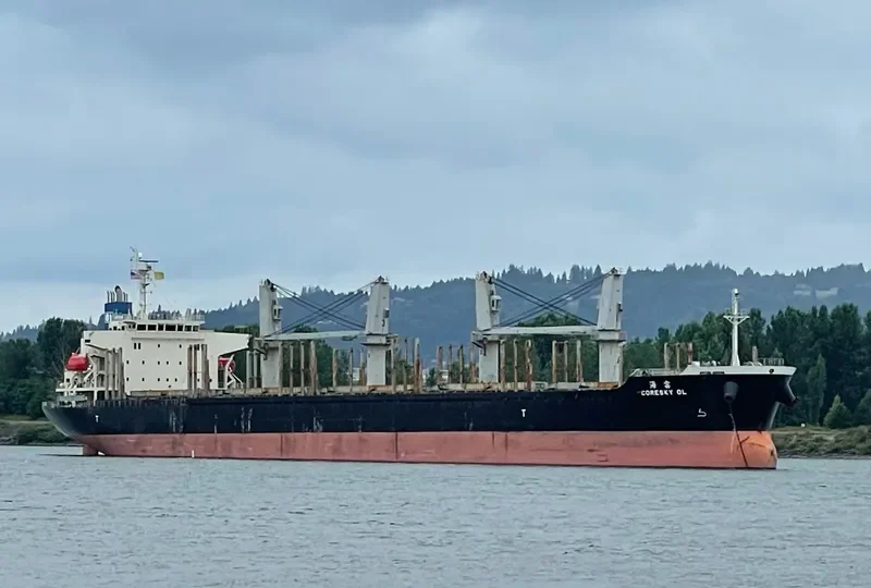 CORESKY OL Bulk Carrier IMO 9692741 photo 7