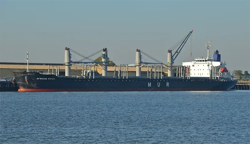 AFRICAN PIPER Bulk Carrier IMO 9692777