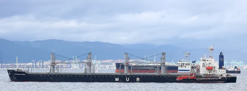 AFRICAN PIPER Bulk Carrier IMO 9692777 photo 2