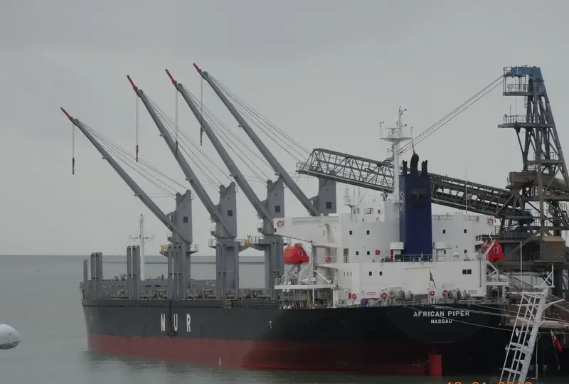 AFRICAN PIPER Bulk Carrier IMO 9692777 photo 3