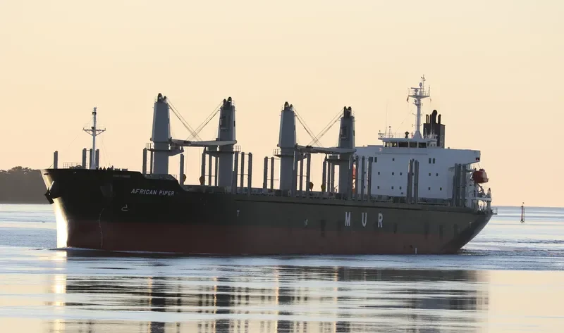 AFRICAN PIPER Bulk Carrier IMO 9692777 photo 6
