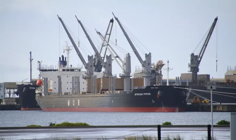 AFRICAN PIPER Bulk Carrier IMO 9692777 photo 7