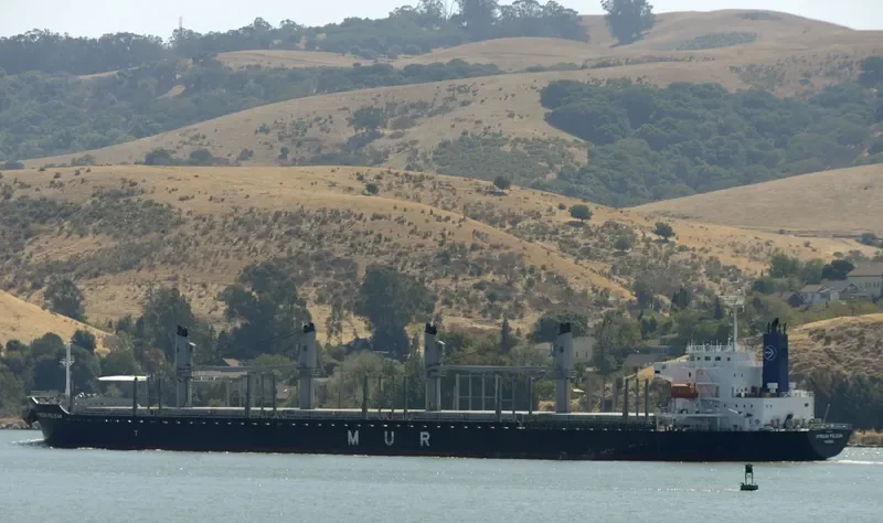 AFRICAN PELICAN Bulk Carrier IMO 9692789 photo 2
