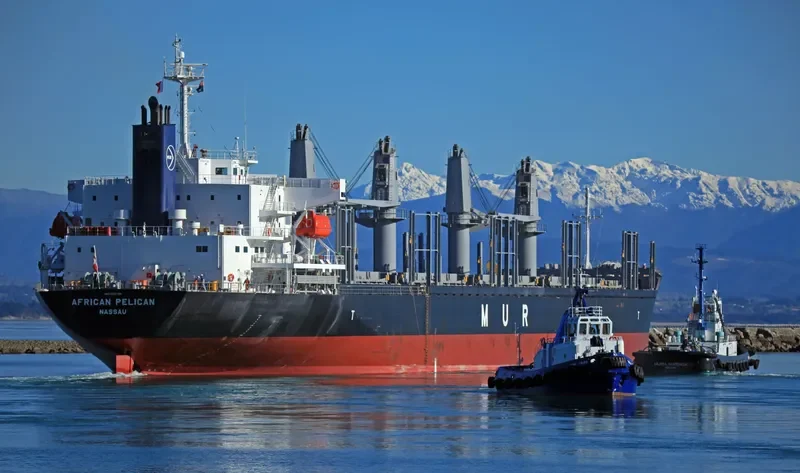AFRICAN PELICAN Bulk Carrier IMO 9692789 photo 4