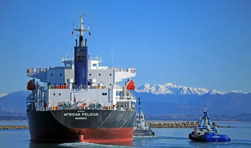 AFRICAN PELICAN Bulk Carrier IMO 9692789 photo 5