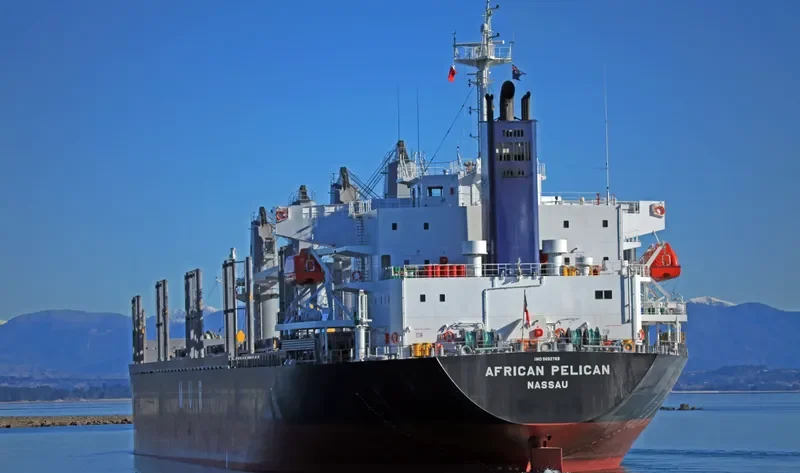 AFRICAN PELICAN Bulk Carrier IMO 9692789 photo 6