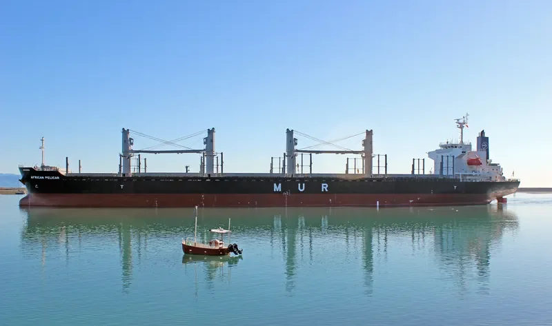 AFRICAN PELICAN Bulk Carrier IMO 9692789 photo 8