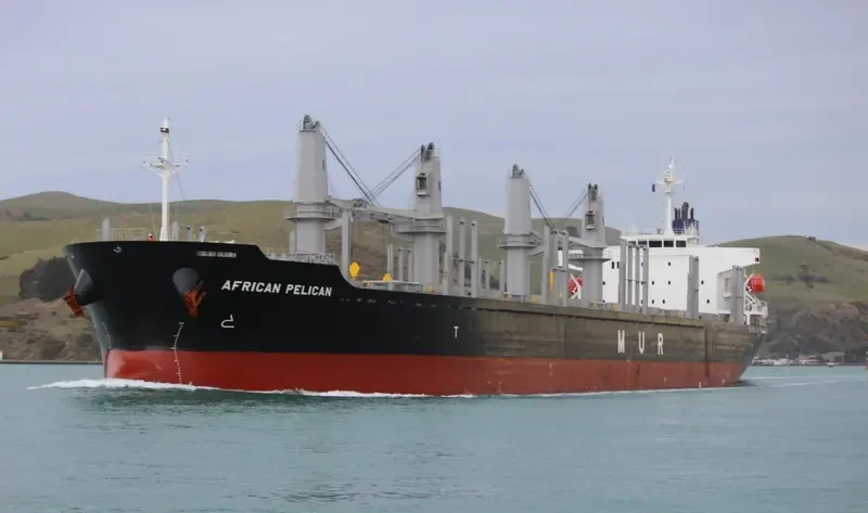 AFRICAN PELICAN Bulk Carrier IMO 9692789 photo 10