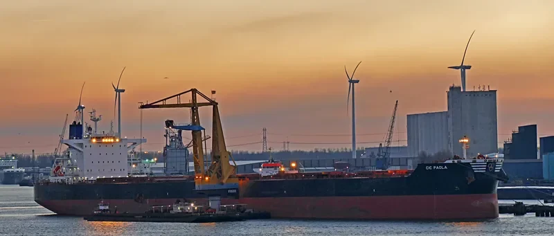 CIC PAOLA Bulk Carrier IMO 9692820 photo 4