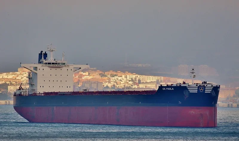 CIC PAOLA Bulk Carrier IMO 9692820 photo 7