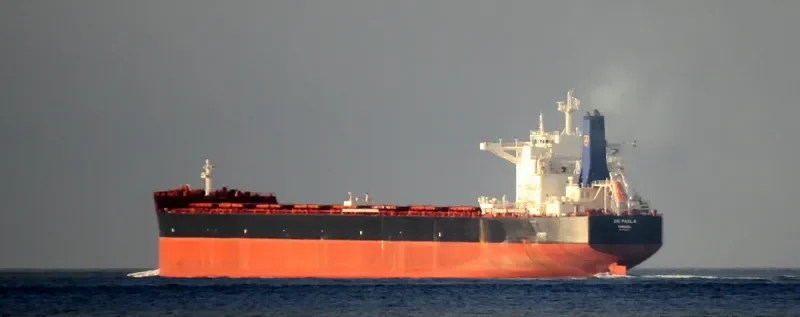 CIC PAOLA Bulk Carrier IMO 9692820 photo 8