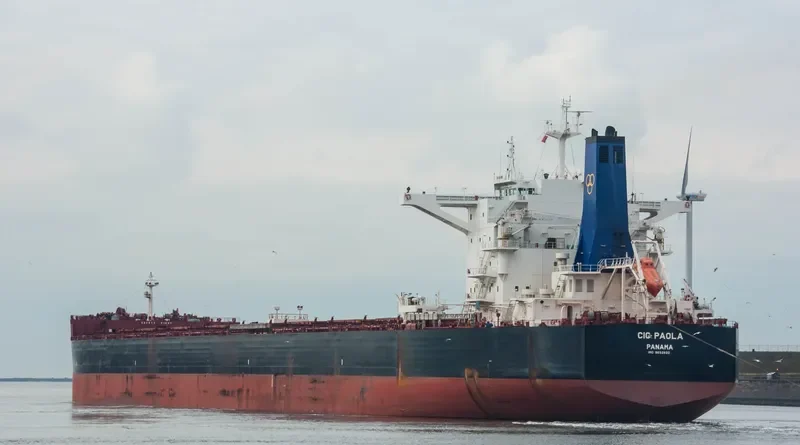 CIC PAOLA Bulk Carrier IMO 9692820 photo 10