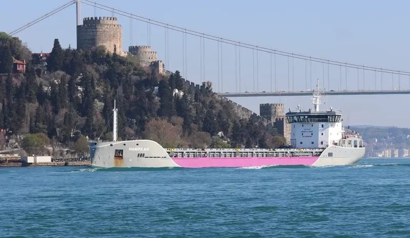 LONGWAVE General Cargo IMO 9693109 photo 4