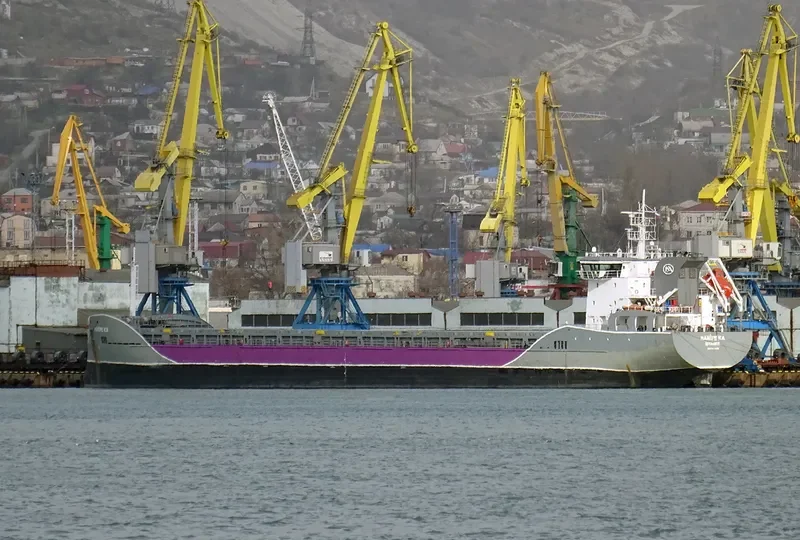 LONGWAVE General Cargo IMO 9693109 photo 5