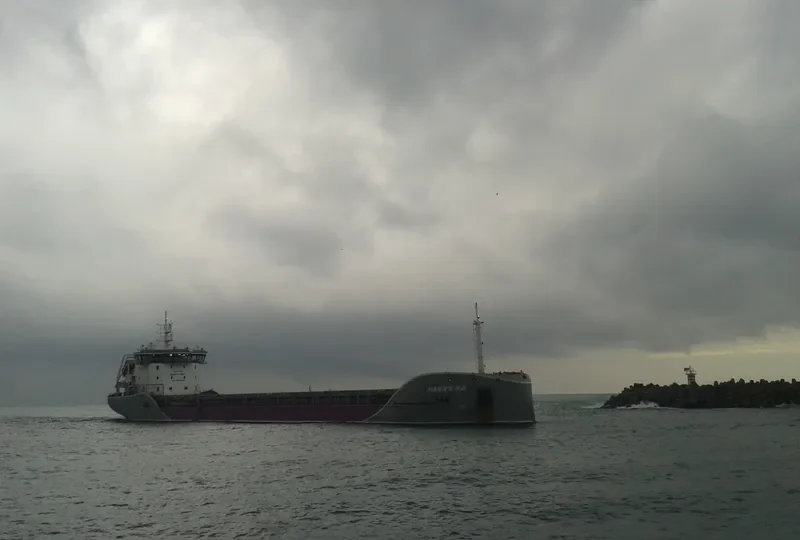 LONGWAVE General Cargo IMO 9693109 photo 7