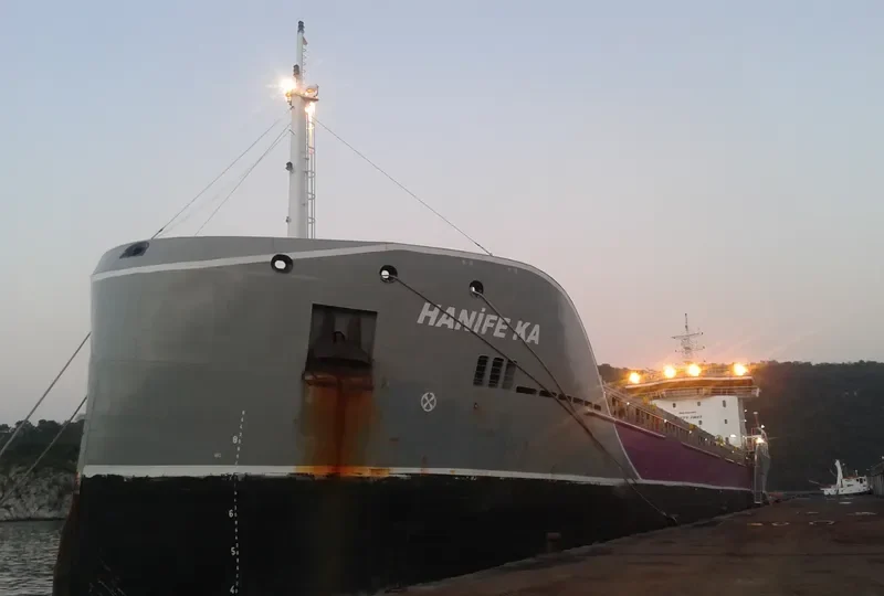 LONGWAVE General Cargo IMO 9693109 photo 9