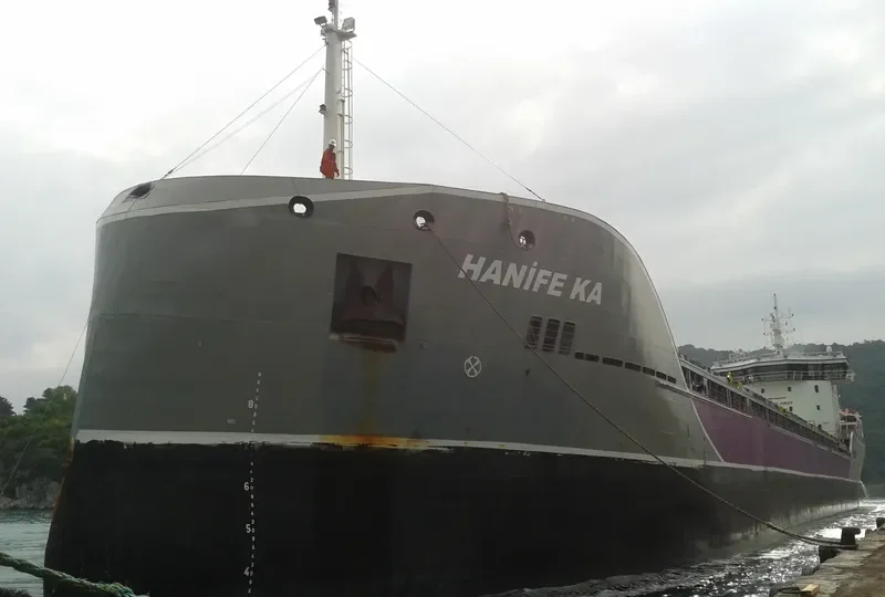 LONGWAVE General Cargo IMO 9693109 photo 10
