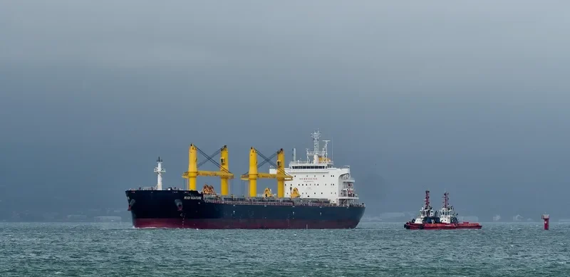 RIGI VENTURE Bulk Carrier IMO 9693197