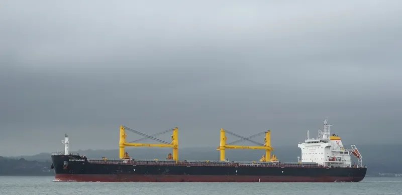 RIGI VENTURE Bulk Carrier IMO 9693197 photo 2