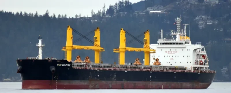 RIGI VENTURE Bulk Carrier IMO 9693197 photo 4
