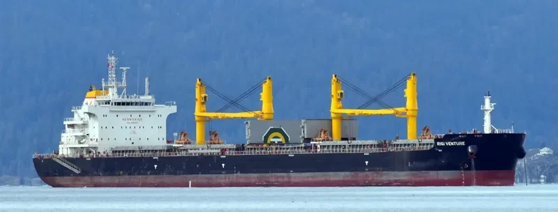 RIGI VENTURE Bulk Carrier IMO 9693197 photo 6