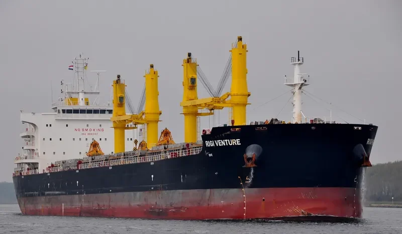 RIGI VENTURE Bulk Carrier IMO 9693197 photo 9