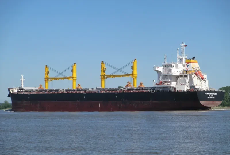COMMON HORIZON Bulk Carrier IMO 9693202 photo 2