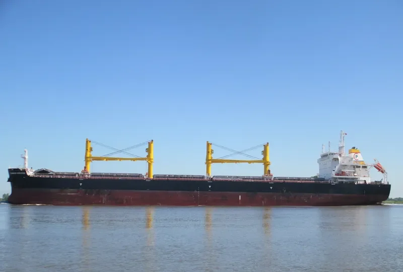 COMMON HORIZON Bulk Carrier IMO 9693202 photo 3