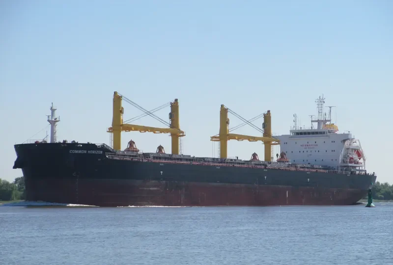 COMMON HORIZON Bulk Carrier IMO 9693202 photo 4